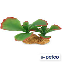 Imagitarium Succulent Terrarium Decor