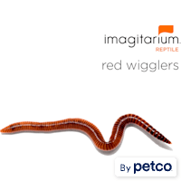 Red Wigglers