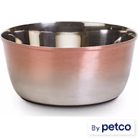 EveryYay Dining In Metallic Ombre Stainless-Steel Dog Bowl