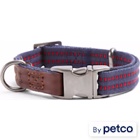 Reddy Webbed Dog Collar