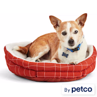EveryYay Essentials Snooze Fest Brown Windowpane-Print Cuddler Dog Bed