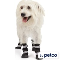YOULY The Adventurer Water-Resistant All-Weather Dog Boots