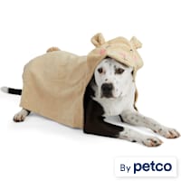 Well & Good Bear Hooded Dog Towel