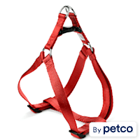 YOULY The Classic Webbed Nylon Dog Harness