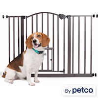 EveryYay In The Zone Arched Metal Walk-Through Pet Gate