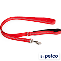 YOULY Reflective 2-in-1 Dog Leash