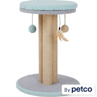 EveryYay Scratchin' The Surface Cat Scratcher with 3-Sided Play Post
