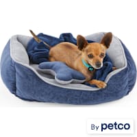 EveryYay Essentials Dog Bed Bundle