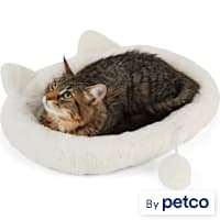 EveryYay Snooze Fest Ivory Cat Head Oval Snuggler Bed