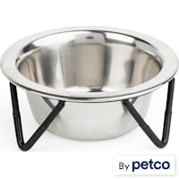 EveryYay Better Together Elevated Stainless-Steel Cat Bowl