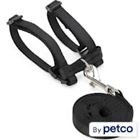 EveryYay Wear with Flair Deluxe Ferret Harness & Lead Set in Various Styles