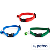 EveryYay Wear with Flair Ferret Collar with Bell