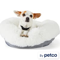 EveryYay Snooze Fest Cream Donut Bed for Dogs