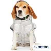 YOULY The Explorer Metallic Dog Puffer Jacket