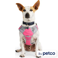 EveryYay Front Walking Reflective Dog Harness