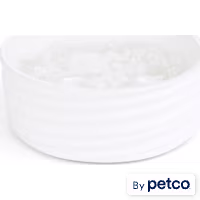 EveryYay Dining In Ivory Ceramic Wave Dog Bowl