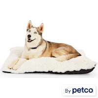 EveryYay Essentials Snooze Fest Lavender-Scented Lounger Dog Bed