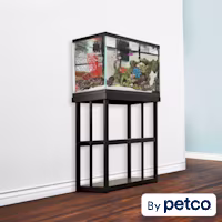 Imagitarium 29 Gallon Newport Tank Stand