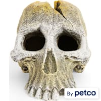 Imagitarium Primate Skull Decor