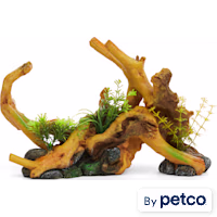 Imagitarium Driftwood with Plants and Stones