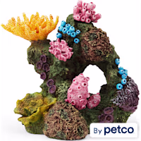 Imagitarium Coral Aquarum Decor