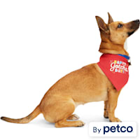 YOULY Happy Gotcha Day Dog Bandana