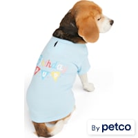 YOULY Birthday Pup Dog Tee
