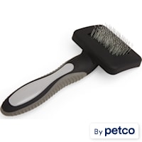 Well & Good Black Mini Cushion Slicker Dog Brush