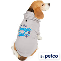 YOULY The Snuggle is Real Dog Hoodie