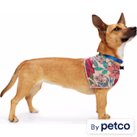 YOULY Floral Reversible Dog Bandana