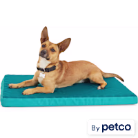 EveryYay Teal Cool Orthopedic Dog Crate Mat