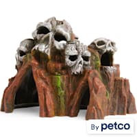 Imagitarium Skull Mountain