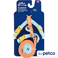 YOULY Coral & Blue Kitten Harness & Leash Set