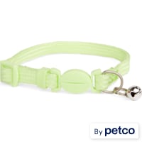 YOULY Green Glow in the Dark Kitten Collar