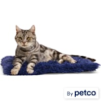 EveryYay Navy Fuzzy Cat Bed