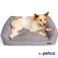 Reddy CBD Infused Lounger Dog Bed