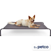 EveryYay Elevated Dog Cot