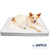 EveryYay Essentials Cooling Orthopedic Dog Bed