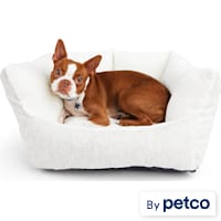 EveryYay Essentials Melange Comfort Wall Orthopedic Dog Bed