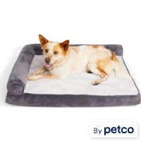 EveryYay Essentials Orthopedic Chaise Dog Bed