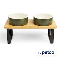 Reddy Green Elevated Double Diner Dog Bowl