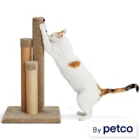 EveryYay Essentials Scratchin' The Surface 3-Sided Post with Scratcher Cat Toy