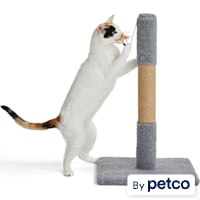 EveryYay Essentials Scratchin' The Surface Post with Scratcher Cat Toy