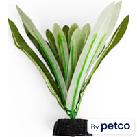 Imagitarium Anubias Betta Plant