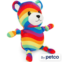 YOULY Rainbow Bear Plush Dog Toy