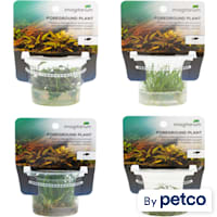 Tissue Culture Combo Pack F