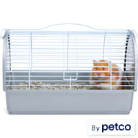 EveryYay Small Animal Pet Carrier