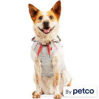 Reddy Grey Hooded Tank for Dogs