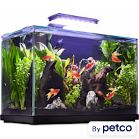 Imagitarium Glass Versa Aquarium