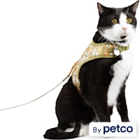 YOULY Retro Floral Cat Harness Set